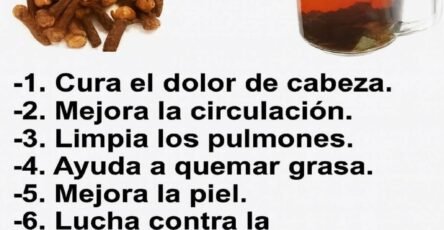 ss1f81aea36b4f043ad7 copy 758x416 6 1 taha 2 taha taha 2 185