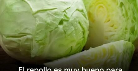 ss1f81aea36b4f043ad7 copy 758x416 6 1 taha 2 taha taha 2 185