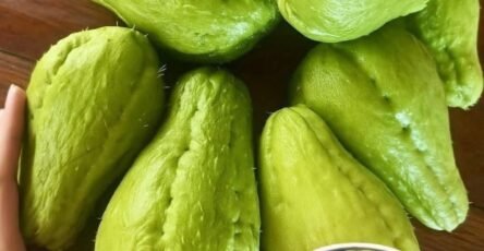 ss1f81aea36b4f043ad7 copy 758x416 6 1 taha 2 taha taha 2 185