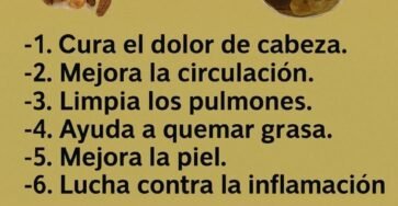 ss1f81aea36b4f043ad7 copy 758x416 6 1 taha 2 taha taha 2 185