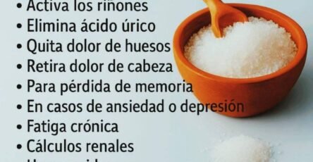 ss1f81aea36b4f043ad7 copy 758x416 6 1 taha 2 taha taha 2 185