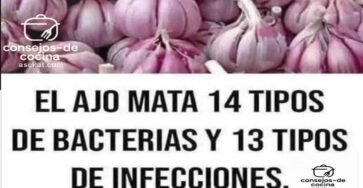 ss1f81aea36b4f043ad7 copy 758x416 6 1 taha 2 taha taha 2 185