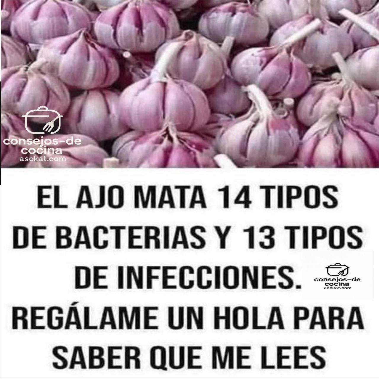 ss1f81aea36b4f043ad7 copy 758x416 6 1 taha 2 taha taha 2 185