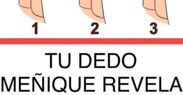 ss1f81aea36b4f043ad7 copy 758x416 6 1 taha 2 taha taha 2 185