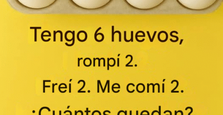 00b65e43 64c6 442c ad82 88b303bfab5c 1 78 683x1024