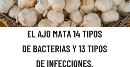 ss1f81aea36b4f043ad7 copy 758x416 6 1 taha 2 taha taha 2 185