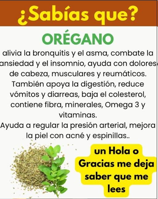 ss1f81aea36b4f043ad7 copy 758x416 6 1 taha 2 taha taha 2 185